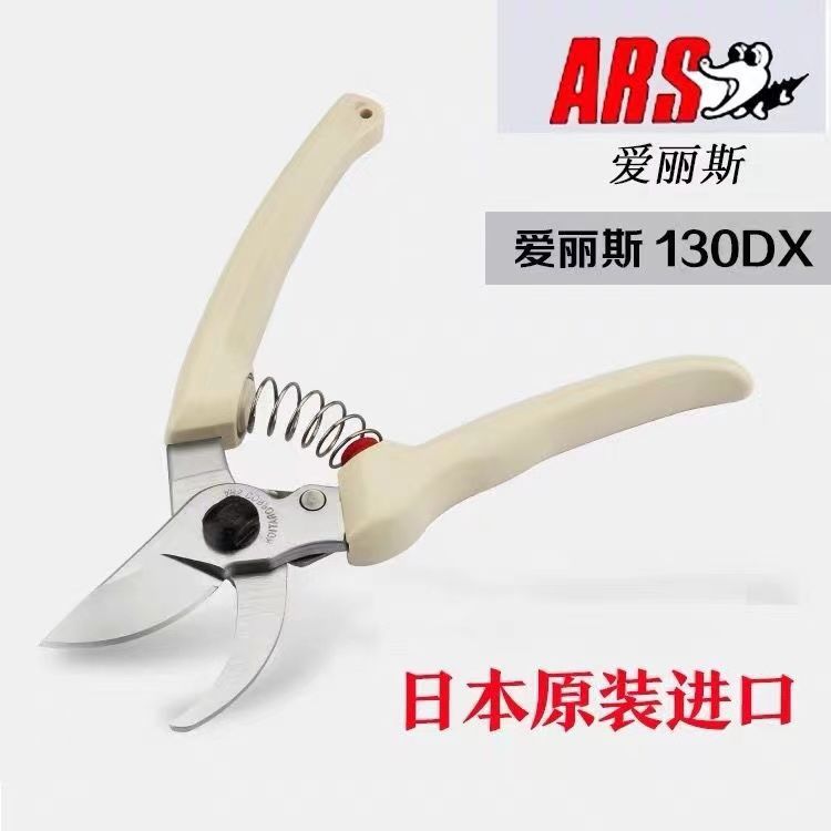Gardening Tools Japan - Schnitts chere, Gartengeräte, Baum-und Blumen schneiden,