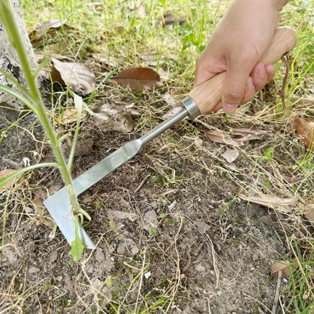 Edelstahl-Unkrautentfernungswe – Gardening Tools Used Bewertung und Preis