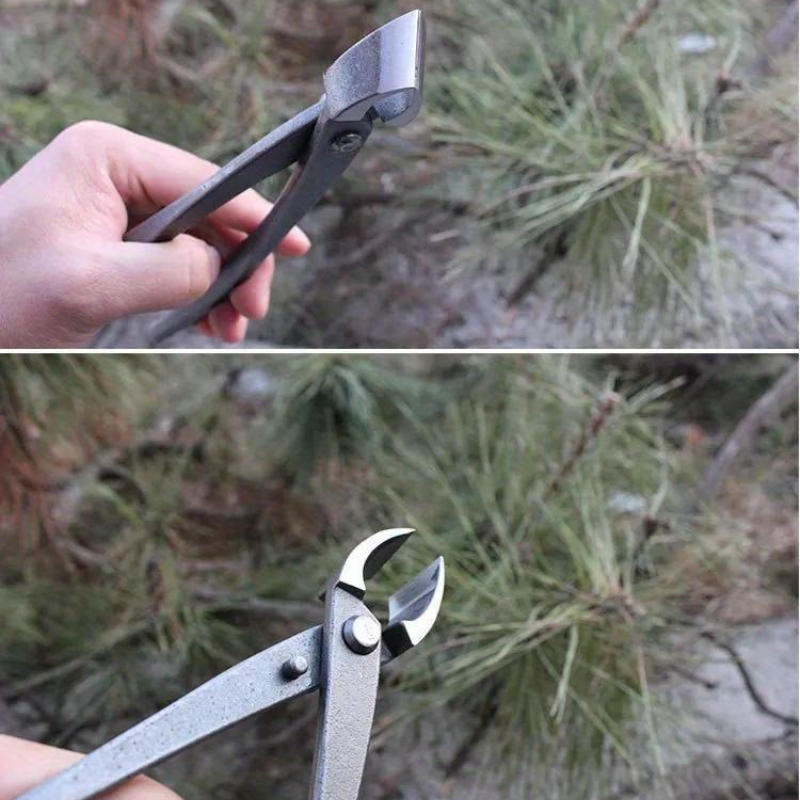 Bonsai-Knopfschneider, konkave – Bonsai Tool Set Bewertung und Preis