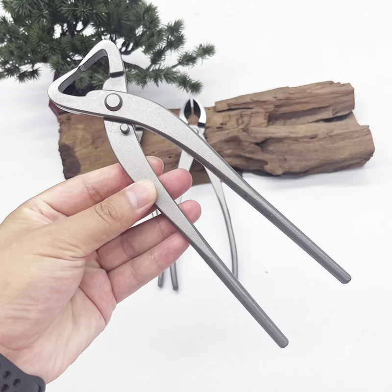 1 stücke Edelstahl Bonsai Besc – Bonsai Tool Set Bewertung und Preis