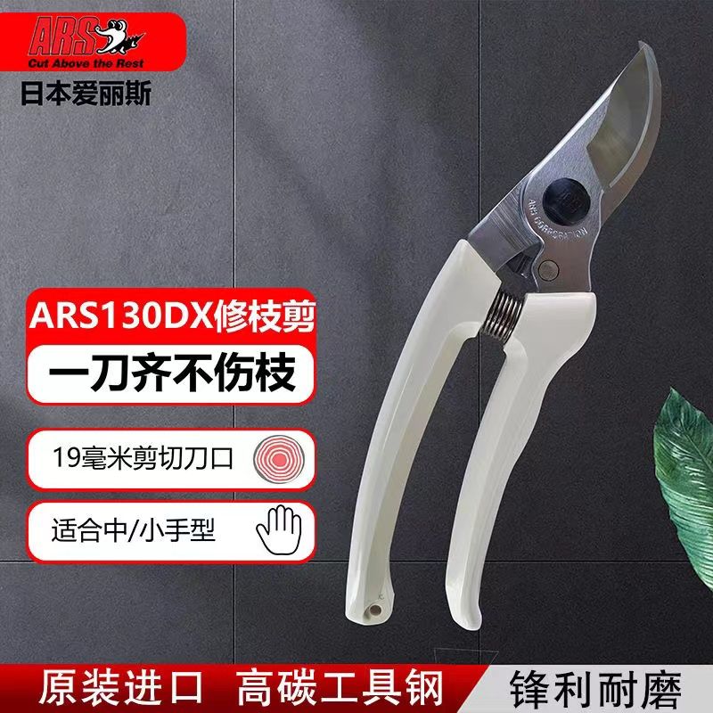 Schnitts chere, Gartengeräte,  – Gardening Tools Japan Bewertung und Preis