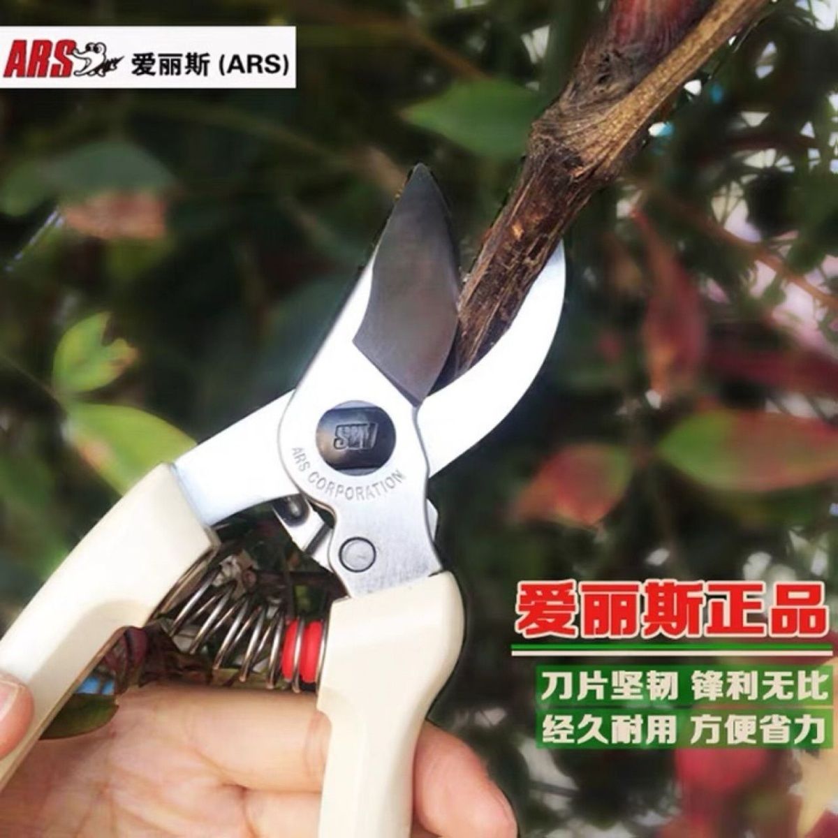 Schnitts chere, Gartengeräte,  – Gardening Tools Japan Bewertung und Preis