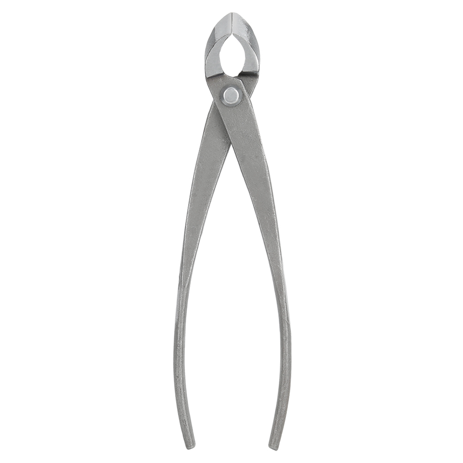 Bonsai Cutter Multifunktionale – Bonsai Tool Set Bewertung und Preis
