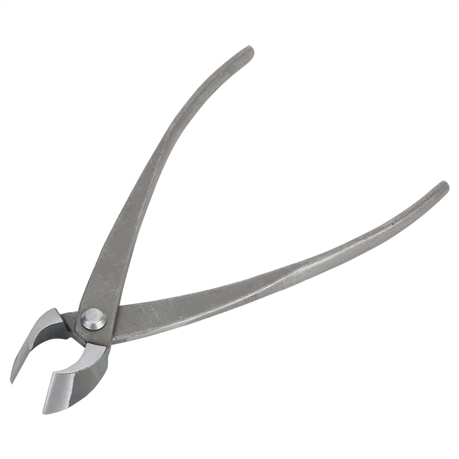 Bonsai Cutter Multifunktionale – Bonsai Tool Set Bewertung und Preis