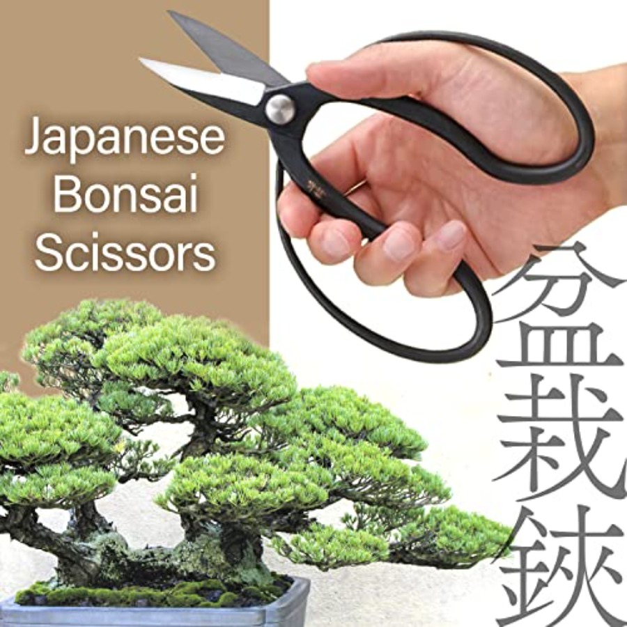 Japanische Suiryu Bonsai-Scher – Gardening Tools Japan Bewertung und Preis