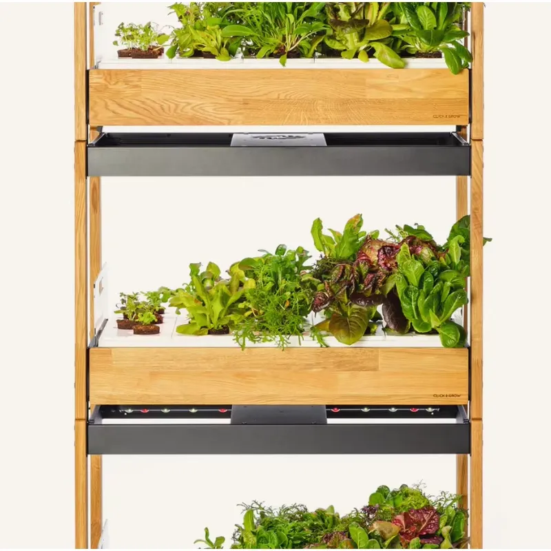Bestseller: Heirloom-Gemüse 27 – Gardening Tools Kit For Sale Bewertung und Preis