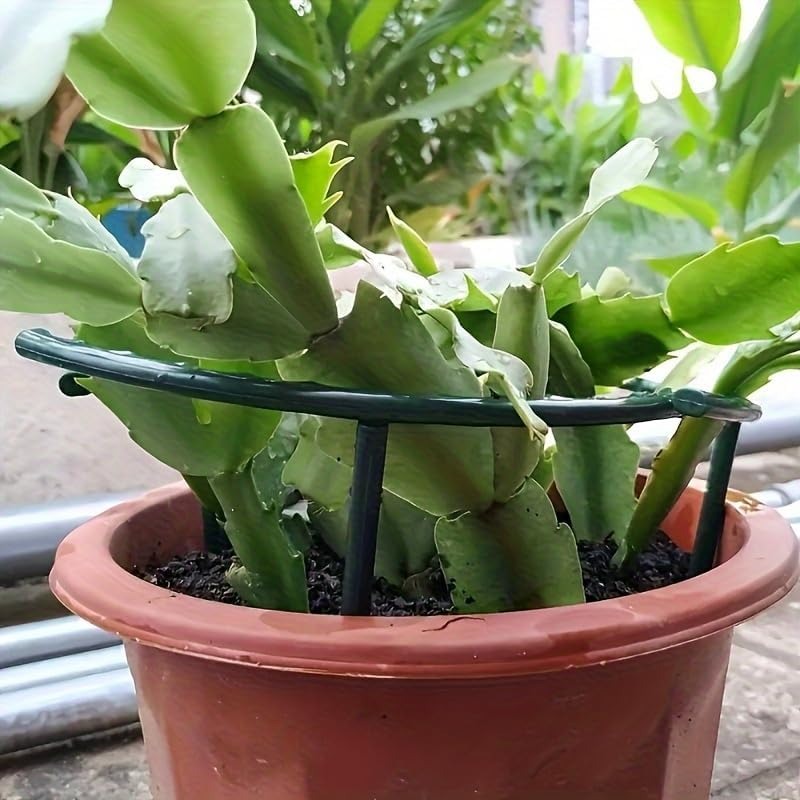 30-1 Stück Kunststoff-Pflanzen – Gardening Tools Gifts Bewertung und Preis