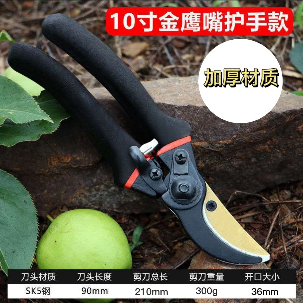 Japanische Verstärkte SK5-Stah – Gardening Tools Japan Bewertung und Preis