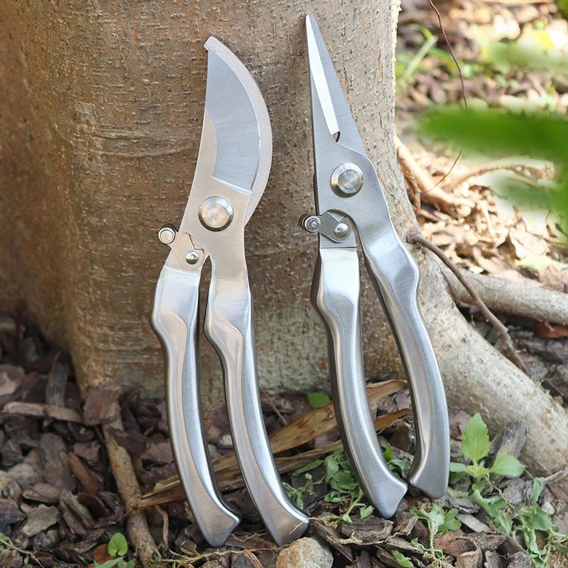 Professionelle Gartenschere au – Bonsai Tool Set Bewertung und Preis