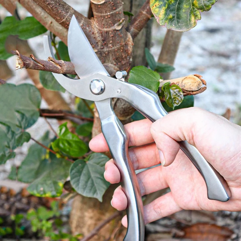 Professionelle Gartenschere au – Bonsai Tool Set Bewertung und Preis