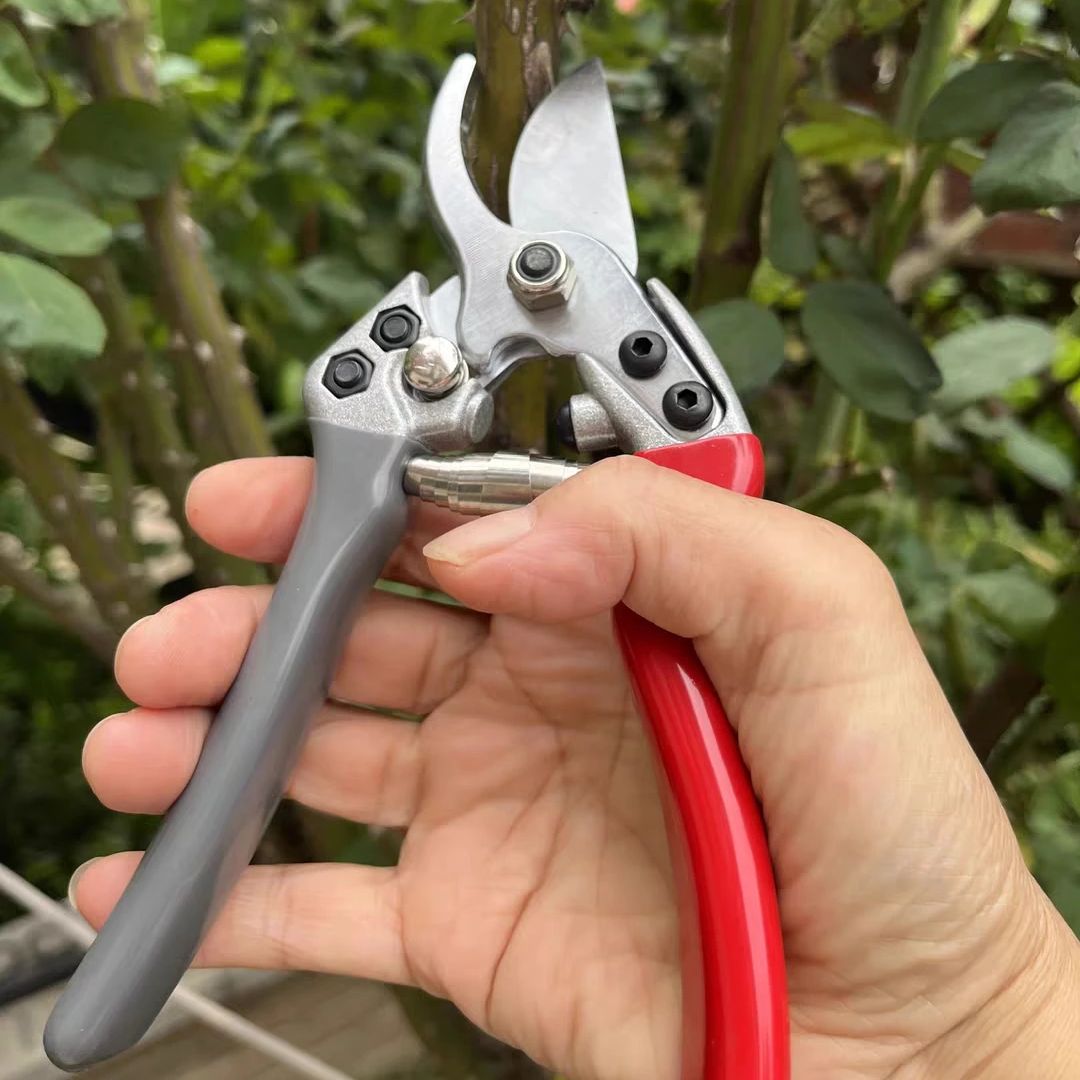 Japan VVT Neue SK5 Starke Gart – Gardening Tools Japan Bewertung und Preis