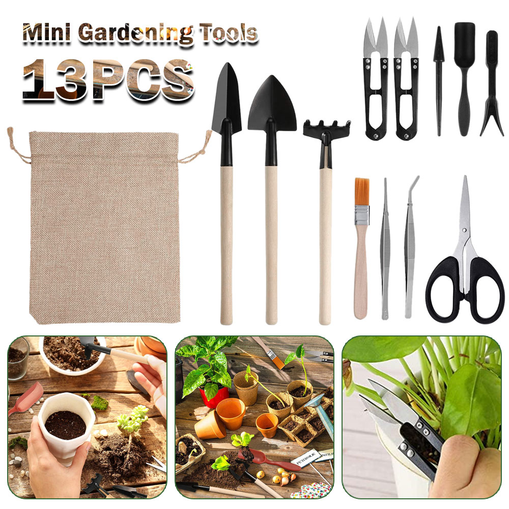 Sukkulenten Werkzeuge Mini Gar – Bonsai Tool Set Bewertung und Preis
