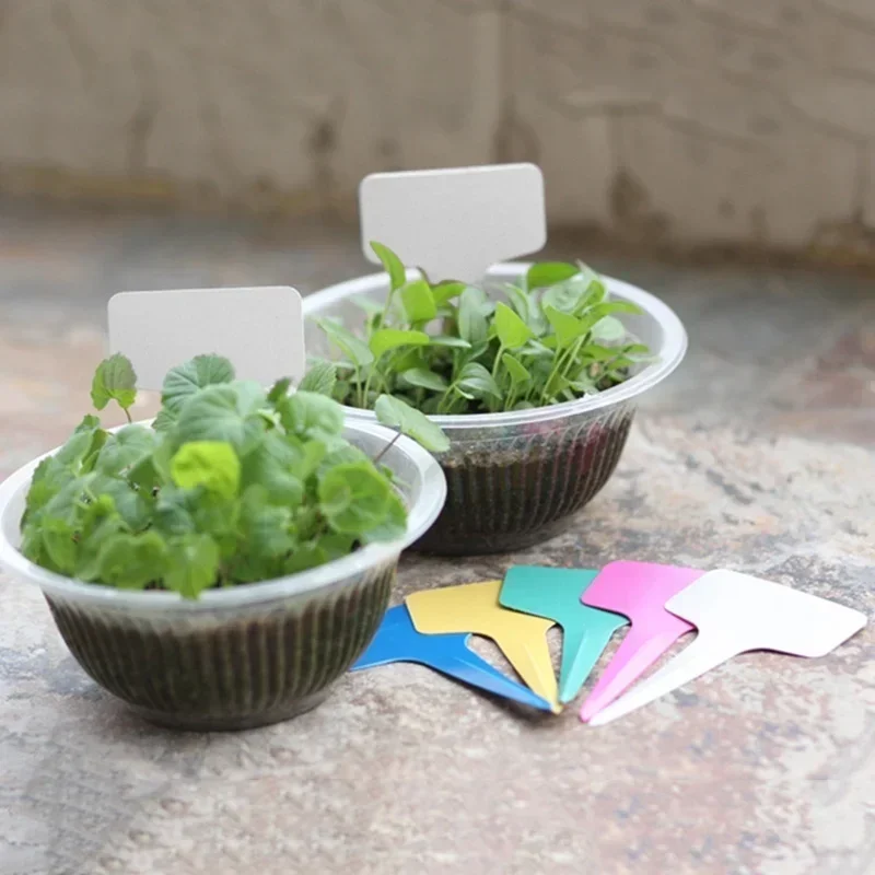 20 Stück wasserdichte Pflanzen – Gardening Tools Names Bewertung und Preis