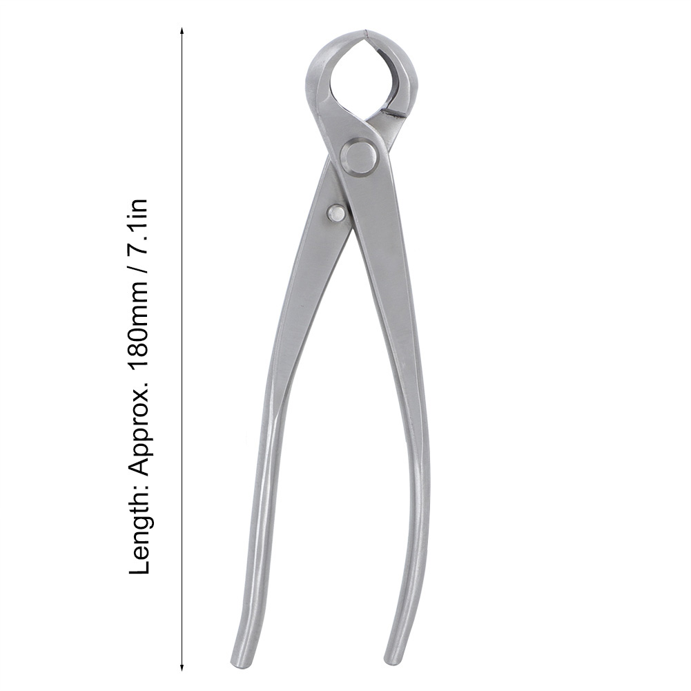 Konkaver Knopfschneider, 180 m – Bonsai Tool Set Bewertung und Preis